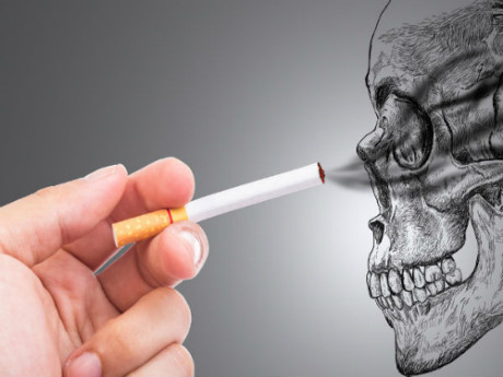 Khói thuốc lá thực sự độc như thế nào? - Ảnh 1 Khoi thuoc la thuc su doc nhu the nao? - Anh 1