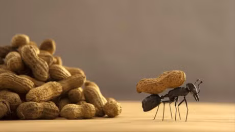 10 bi quyet de co noi tam manh me, song cuoc doi hanh phuc - Anh 4