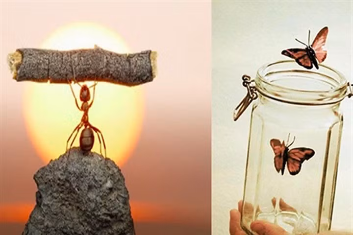 10 bí quyết để có nội tâm mạnh mẽ, sống cuộc đời hạnh phúc