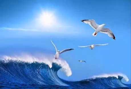 10 bi quyet de co noi tam manh me, song cuoc doi hanh phuc - Anh 6