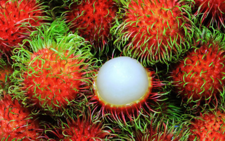 Lợi ích tuyệt vời của chôm chôm không phải ai cũng biết - Ảnh 1 Loi ich tuyet voi cua chom chom khong phai ai cung biet - Anh 1