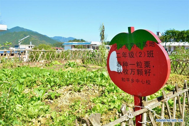 Vườn rau của Trường tiểu học Heping Vườn rau của Trường tiểu học Heping