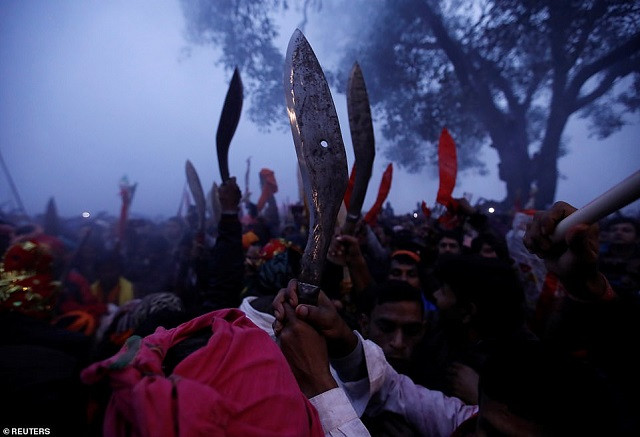 Những con dao vấy máu động vật