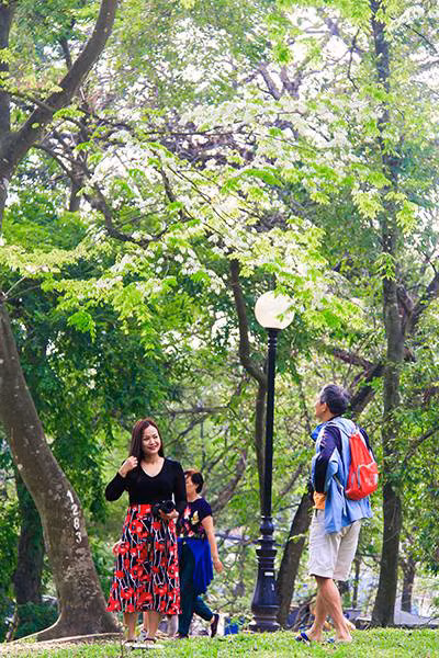 Ha Noi dep diu dang, thanh khiet trong mua hoa sua trang - Anh 4