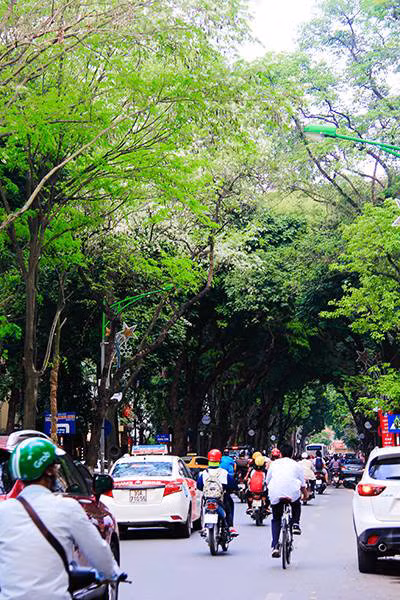 Ha Noi dep diu dang, thanh khiet trong mua hoa sua trang - Anh 6
