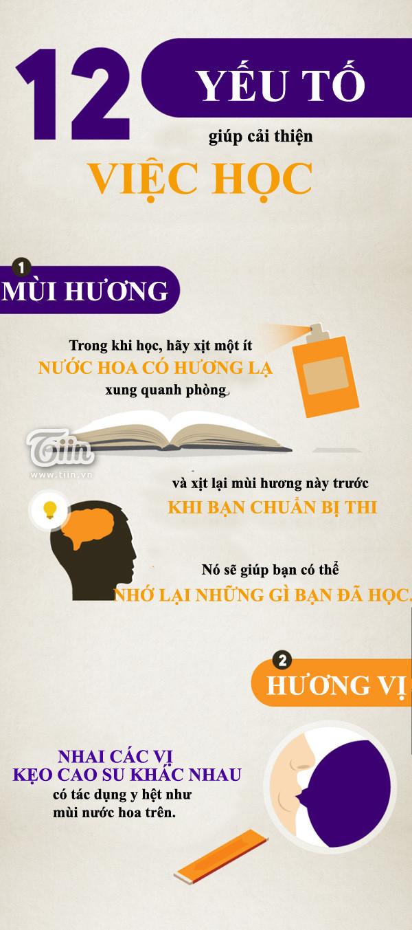 Infographic: 12 yếu tố giúp cải thiện việc học ảnh 1 Infographic 12 yếu tố giúp cải thiện việc học