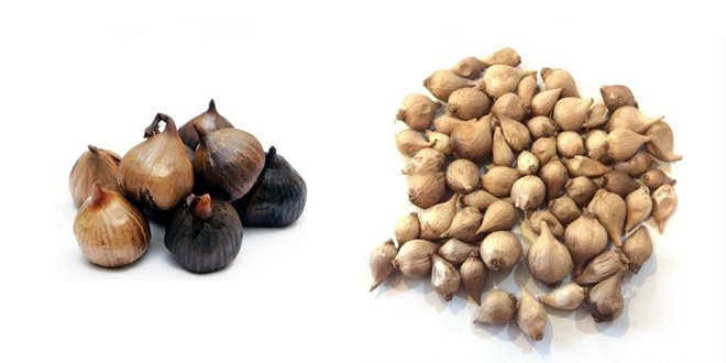 Mẹo chọn tỏi đen Lý Sơn  Mẹo chọn tỏi đen Lý Sơn