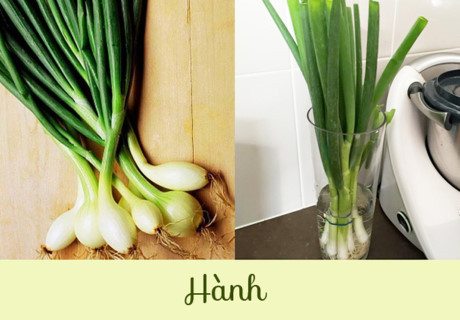 Cách bảo quản đồ ăn cả tháng không cần dùng hóa chất - Ảnh 9 Cach bao quan do an ca thang khong can dung hoa chat - Anh 9