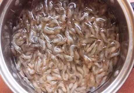 Tu lam mam tep tai nha hop ve sinh - Anh 2