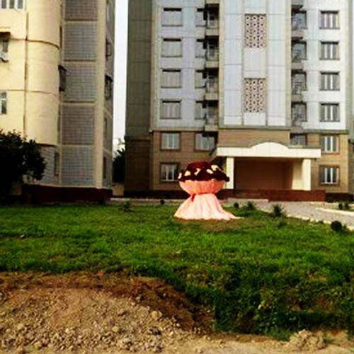 Thiếu gia trẻ chi hơn 80 triệu mua hoa tặng người yêu - 2