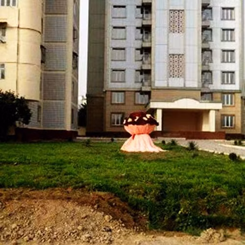 Thiếu gia trẻ chi hơn 80 triệu mua hoa tặng người yêu - 2