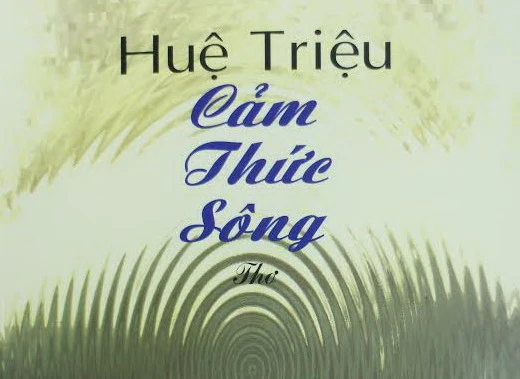 Cảm thức về một dòng sông 