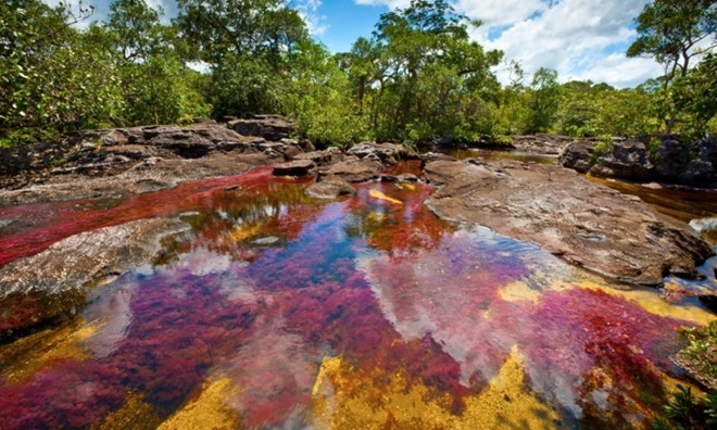 Sông cầu vồng Canõ Cristales, Serranía de la Macarena, Colombia: Dòng sông đặc biệt do có nhiều màu sắc như một chiếc cầu vồng. Vào thời gian từ tháng 9 - 11 là thời điểm rực rỡ nhất khi một loại cây mọc dưới lòng sông có tên macarenia màu xanh lá chuyển sang màu đỏ tươi, cam vàng và nâu sậm, nổi bật lên trên nền vàng của cát dưới lòng sông, màu xanh của rêu tạo thành một bản hợp sắc sống động.