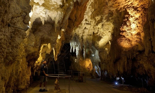 Hang đom đóm Waitomo Glowworm, đảo Bắc, New Zealand: Hang Waitomo là một điểm đến nổi tiếng bởi số lượng lớn các đom đóm sống trong hang. Hang được tìm thấy lần đầu tiên vào năm 1887 bởi Tane Tinorau, một tộc trưởng tộc người Maori và Fred Mace, một điều tra viên người Anh. Đến năm 1889, Tinorau và vợ mở các tour vào thăm hang với giá rất rẻ, hang trở thành địa điểm du lịch nổi tiếng từ đó.