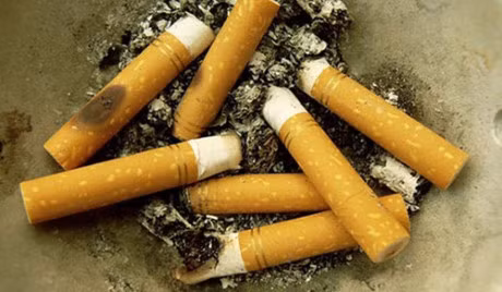 10 dieu nen va khong nen lam de giam nguy co mac benh ung thu - Anh 2