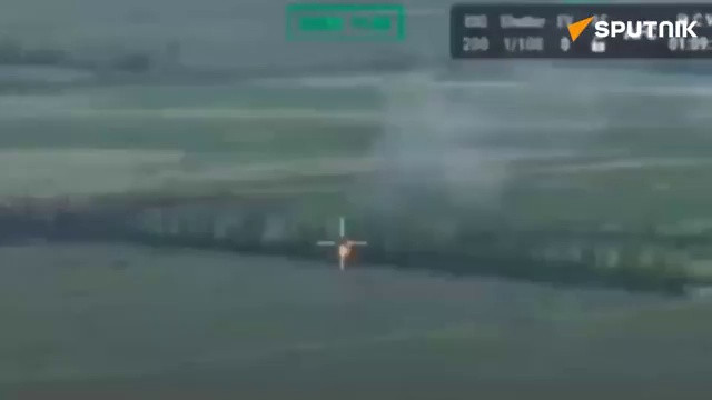 (Ảnh từ clip)