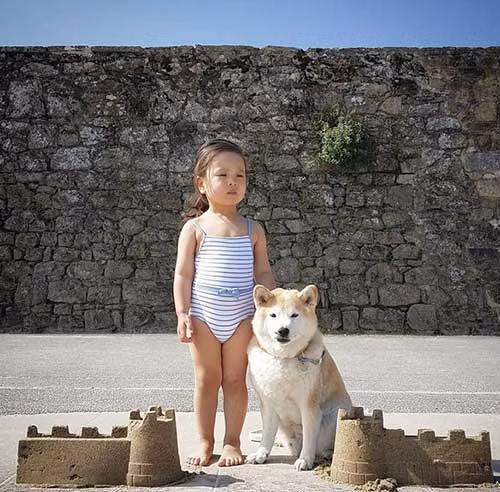 “Tan chảy” với tình bạn của cô bé Pháp 2 tuổi và chó cưng - 10