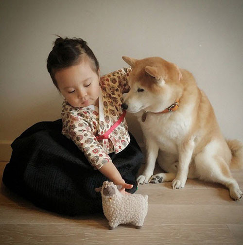 “Tan chảy” với tình bạn của cô bé Pháp 2 tuổi và chó cưng - 4