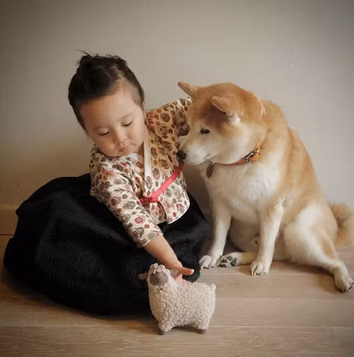 “Tan chảy” với tình bạn của cô bé Pháp 2 tuổi và chó cưng - 4