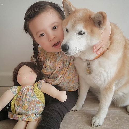 “Tan chảy” với tình bạn của cô bé Pháp 2 tuổi và chó cưng - 5