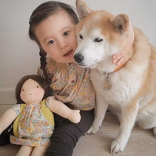 “Tan chảy” với tình bạn của cô bé Pháp 2 tuổi và chó cưng - 5