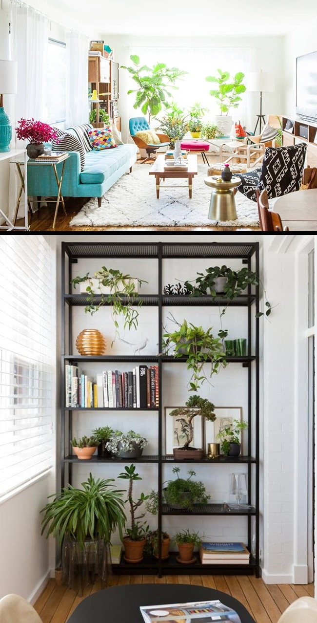 Cây cỏ. Cây cỏ mang lại sức sống cho hầu hết các thiết kế nhà buồn tẻ và mang lại vẻ tươi mát cho căn phòng. Bạn có thể đặt chúng ở các góc phòng khác nhau hoặc gom chúng lại trên một cái giá gỗ.