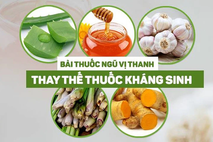 Bài thuốc ngũ vị thanh cực kỳ tốt cần có trong tủ mỗi gia đình