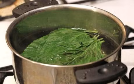 La bang non: Than duoc tri nhieu thu benh - Anh 3