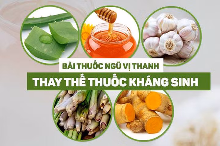 Bài thuốc ngũ vị thanh cực kỳ tốt cần có trong tủ mỗi gia đình