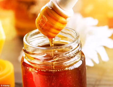 Bai thuoc ngu vi thanh cuc ky tot can co trong tu moi gia dinh - Anh 3