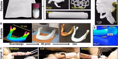 Da in duoc xuong tren may in 3D - Anh 1