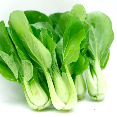 Kỹ thuật trồng cây rau cải chíp xanh năng suất và chất lượng tốt nhất - Ảnh 2 Ky thuat trong cay rau cai chip xanh nang suat va chat luong tot nhat - Anh 2
