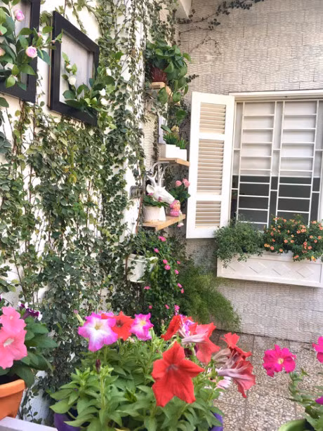 Ba me Ha Noi danh 3 nam bien ban cong thanh 