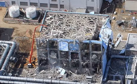 Chi phi don dep sau tham hoa hat nhan Fukushima tang gap doi - Anh 1