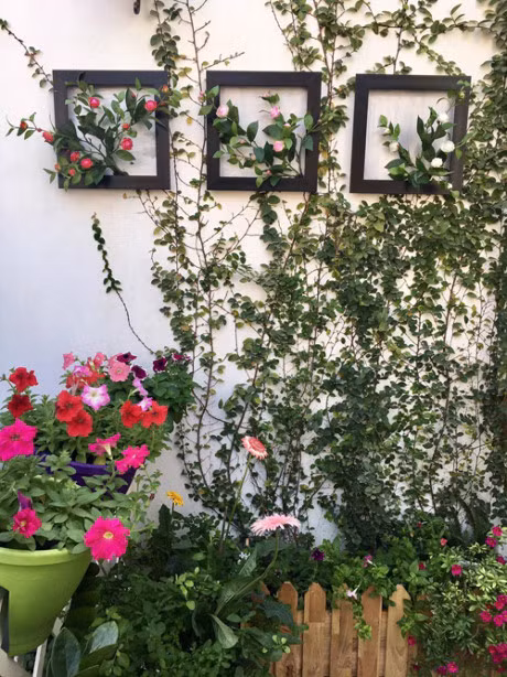 Ba me Ha Noi danh 3 nam bien ban cong thanh 