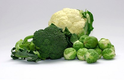 Những vitamin thiết yếu giúp mái tóc suôn mượt ảnh 8 Những vitamin thiết yếu giúp mái tóc suôn mượt ảnh 8