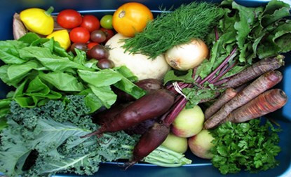 Những thực phẩm giàu vitamin A