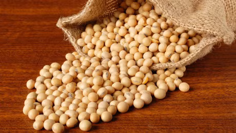 Toc moc nhanh nhu nam sau mua neu ban thuong xuyen an nhung loai thuc pham nay - Anh 7