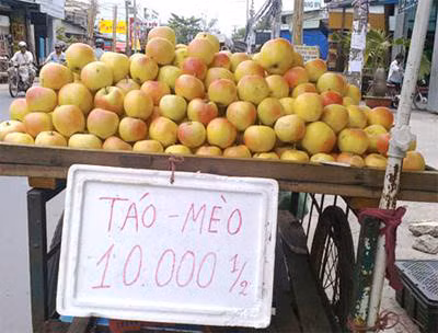 Tao meo Viet Nam tron hang Trung Quoc bay ban la liet: Cach phan biet chuan xac nhat - Anh 2