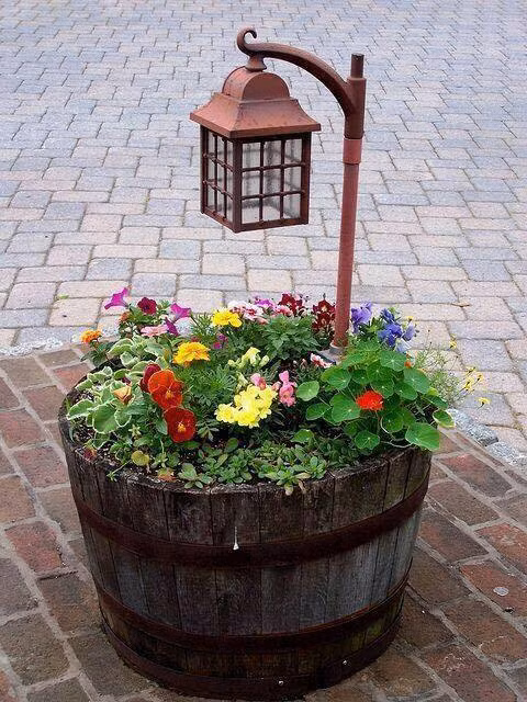 Một chiếc đèn xinh trên chậu trồng cây