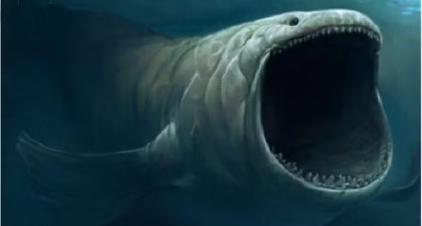 Bạn có tưởng tượng nổi kích cỡ khổng lồ của chủ nhân âm thanh đáng sợ này