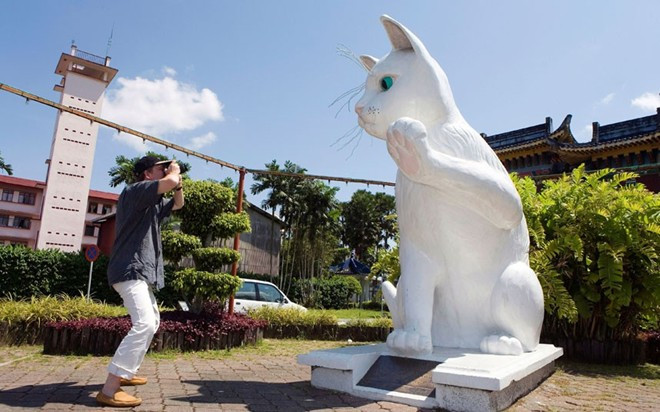 Kuching, Malaysia: Kuching có nghĩa là "thành phố mèo". Nơi đây có hàng chục tác phẩm điêu khắc mèo khổng lồ và một bảo tàng mèo độc đáo. Kuching, Malaysia: Kuching có nghĩa là