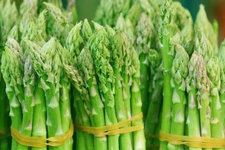 Cách trồng măng tây trong thùng xốp cho hiệu quả cao