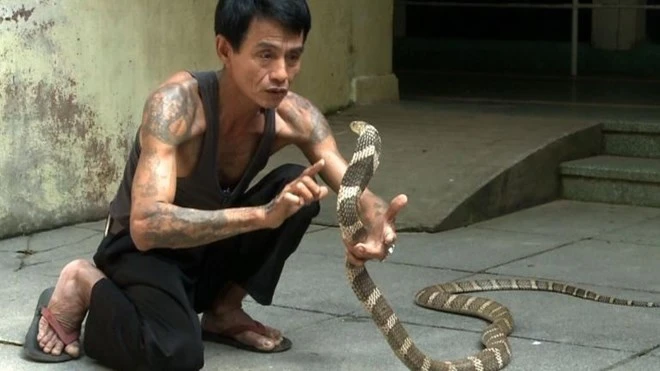 Sein Tin chơi đùa cùng một con rắn hổ mang trong Sở thú Yangon (Ảnh: AFP).