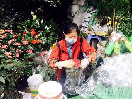 Người bán hàng cẩn thận bọc chậu hoa vào túi...