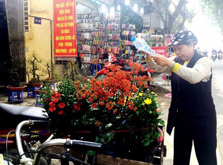 Điểm đặc biệt của chợ Bưởi những ngày giáp Tết là số lượng người bán hàng rong hoặc từ các nơi khác vượt gấp nhiều lần số cửa hàng cố định, cứ có chỗ trống từ bãi đất, vỉa hè là có hoa, có cây Điểm đặc biệt của chợ Bưởi những ngày giáp Tết là số lượng người bán hàng rong hoặc từ các nơi khác vượt gấp nhiều lần số cửa hàng cố định, cứ có chỗ trống từ bãi đất, vỉa hè là có hoa, có cây