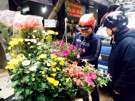 Chợ Bưởi cuối năm, số lượng các mặt hàng cây, hoa giống đã tăng lên gấp hàng chục lần so với ngày thường với đủ chủng loại như: Hoa đào, hoa mai trắng, hoa mai vàng, quất cảnh, hoa trà, đỗ quyên, thủy tiên, hoa hồng, cẩm tú cầu, phật thủ, sen đá, sen cạn, lan hồ điệp, địa lan...