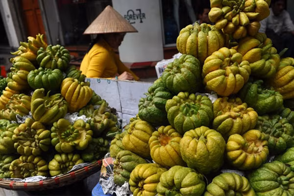 Không khí Tết Nguyên Đán trên thế giới