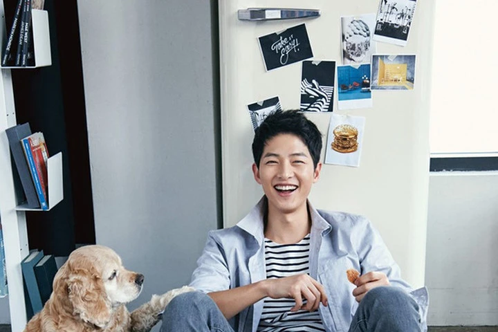 Song Joong Ki - Park Shin Hye trở thành gương mặt quảng cáo được yêu thích nhất