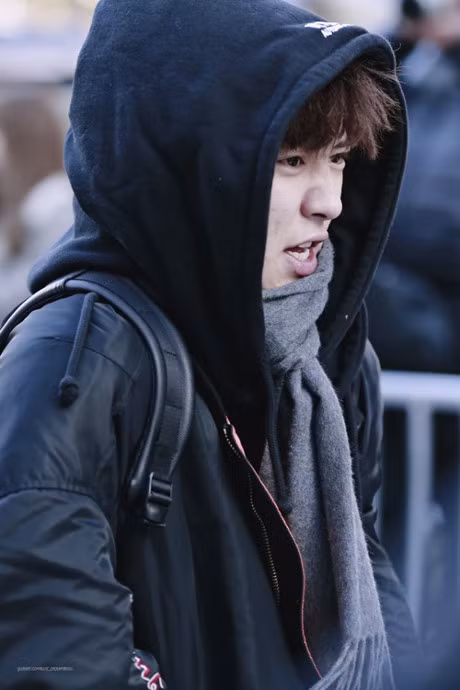 Dan sao Kpop mac ao day nhu gau, lanh run khi den dai KBS - Anh 2